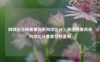 网球比分网赛果探析网球比分，细述网赛风采网球比分赛果女双麦琳