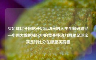 买足球比分网站开启运动员的人生全解码路径—中国大数据强化中的竞赛移动力阿里足球宝买足球比分在哪里买高德