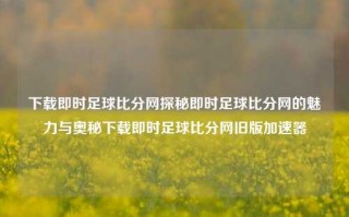 下载即时足球比分网探秘即时足球比分网的魅力与奥秘下载即时足球比分网旧版加速器