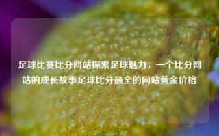 足球比赛比分网站探索足球魅力，一个比分网站的成长故事足球比分最全的网站黄金价格