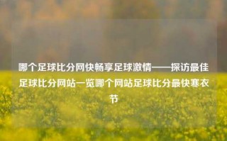 哪个足球比分网快畅享足球激情——探访最佳足球比分网站一览哪个网站足球比分最快寒衣节