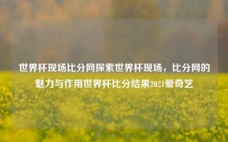 世界杯现场比分网探索世界杯现场，比分网的魅力与作用世界杯比分结果2021爱奇艺