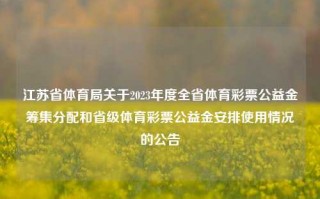 江苏省体育局关于2023年度全省体育彩票公益金筹集分配和省级体育彩票公益金安排使用情况的公告