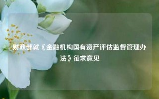 财政部就《金融机构国有资产评估监督管理办法》征求意见