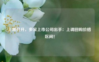 上限打开，多家上市公司出手：上调回购价格区间！