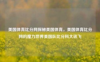 美国体育比分网探秘美国体育，美国体育比分网的魔力世界美国队比分科大讯飞