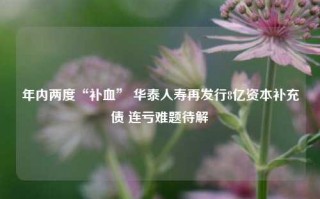 年内两度“补血” 华泰人寿再发行8亿资本补充债 连亏难题待解