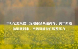 申万宏源策略：短期市场余温尚存，跨年阶段验证期到来，市场可能存在调整压力