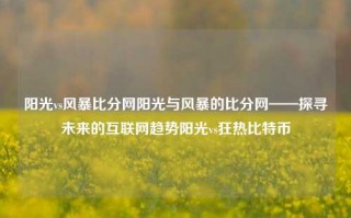 阳光vs风暴比分网阳光与风暴的比分网——探寻未来的互联网趋势阳光vs狂热比特币