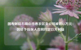 国寿财险石嘴山市惠农区支公司被罚6.5万元：因给予投保人合同约定以外利益