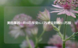 美因基因11月15日斥资85.47万港元回购11.1万股