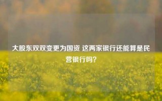 大股东双双变更为国资 这两家银行还能算是民营银行吗？