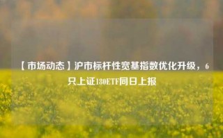 【市场动态】沪市标杆性宽基指数优化升级，6只上证180ETF同日上报