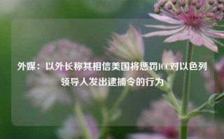 外媒：以外长称其相信美国将惩罚ICC对以色列领导人发出逮捕令的行为