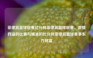 菲律宾篮球联赛比分网菲律宾篮球联赛，激情四溢的比赛与精准的比分网菲律宾篮球赛事东方财富