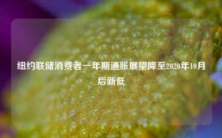 纽约联储消费者一年期通胀展望降至2020年10月后新低