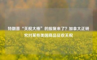 特朗普“关税大棒”的报复来了？加拿大正研究对某些美国商品征收关税