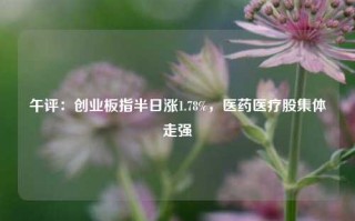 午评：创业板指半日涨1.78%，医药医疗股集体走强