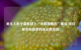 美无人机小盘股搭上“特朗普概念”暴涨 同日警告特朗普构成运营风险