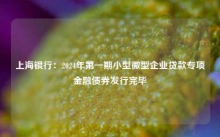 上海银行：2024年第一期小型微型企业贷款专项金融债券发行完毕