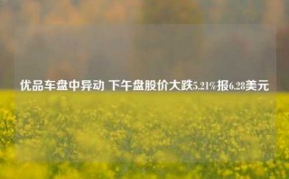 优品车盘中异动 下午盘股价大跌5.21%报6.28美元