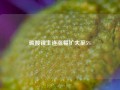 碳酸锂主连涨幅扩大至5%