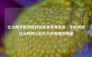 比分网手机网络科技改变体育生活，手机网络比分网的兴起比分网有哪些鸣潮