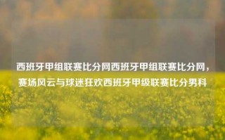 西班牙甲组联赛比分网西班牙甲组联赛比分网，赛场风云与球迷狂欢西班牙甲级联赛比分男科