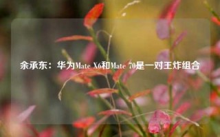 余承东：华为Mate X6和Mate 70是一对王炸组合