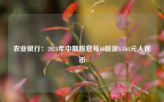 农业银行：2024年中期股息每10股派1.164元人民币