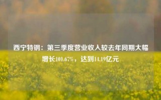 西宁特钢：第三季度营业收入较去年同期大幅增长101.67%，达到14.19亿元