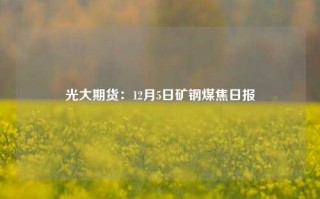 光大期货：12月5日矿钢煤焦日报