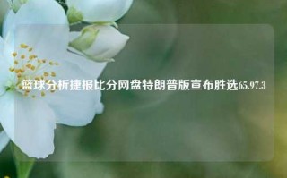 篮球分析捷报比分网盘特朗普版宣布胜选65.97.3