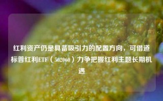 红利资产仍是具备吸引力的配置方向，可借道标普红利ETF（562060）力争把握红利主题长期机遇