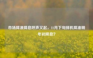 市场降准降息呼声又起，11月下旬择机降准明年初降息？