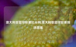 澳大利亚篮球联赛比分网,澳大利亚篮球联赛现场直播