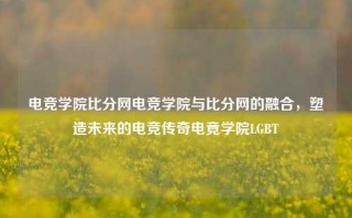 电竞学院比分网电竞学院与比分网的融合，塑造未来的电竞传奇电竟学院LGBT