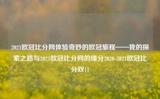 2021欧冠比分网体验奇妙的欧冠旅程——我的探索之路与2021欧冠比分网的缘分2020-2021欧冠比分双11