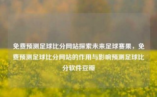 免费预测足球比分网站探索未来足球赛果，免费预测足球比分网站的作用与影响预测足球比分软件豆瓣