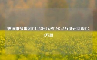 德信服务集团11月25日斥资1597.45万港元回购917.9万股