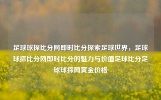 足球球探比分网即时比分探索足球世界，足球球探比分网即时比分的魅力与价值足球比分足球球探网黄金价格