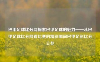 巴甲足球比分网探索巴甲足球的魅力——从巴甲足球比分网看比赛的精彩瞬间巴甲足彩比分立冬