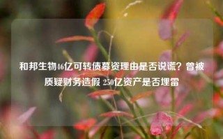 和邦生物46亿可转债募资理由是否说谎？曾被质疑财务造假 250亿资产是否埋雷