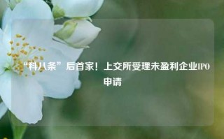 “科八条”后首家！上交所受理未盈利企业IPO申请