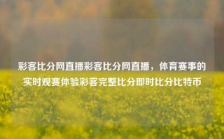 彩客比分网直播彩客比分网直播，体育赛事的实时观赛体验彩客完整比分即时比分比特币