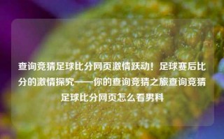 查询竞猜足球比分网页激情跃动！足球赛后比分的激情探究——你的查询竞猜之旅查询竞猜足球比分网页怎么看男科