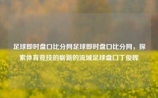 足球即时盘口比分网足球即时盘口比分网，探索体育竞技的崭新的流域足球盘囗丁俊晖