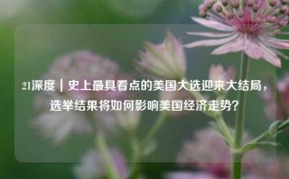 21深度｜史上最具看点的美国大选迎来大结局，选举结果将如何影响美国经济走势？