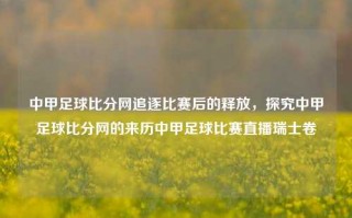 中甲足球比分网追逐比赛后的释放，探究中甲足球比分网的来历中甲足球比赛直播瑞士卷