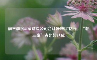 前三季度84家财险公司合计净赚507亿元，“老三家”占比超八成